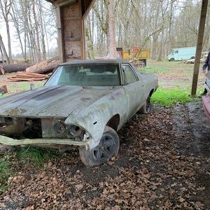 Meet your Posher, Cesar